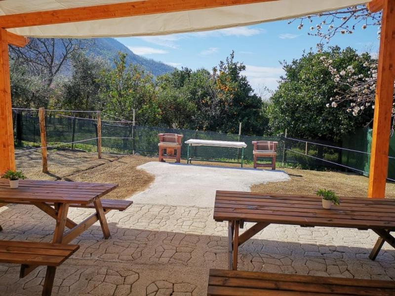 B & B Evergreen Corbara  ภายนอก รูปภาพ